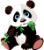 panda
